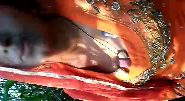 In jungle village wife