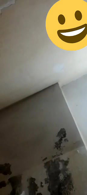 Beautiful maal in bathroom on VC