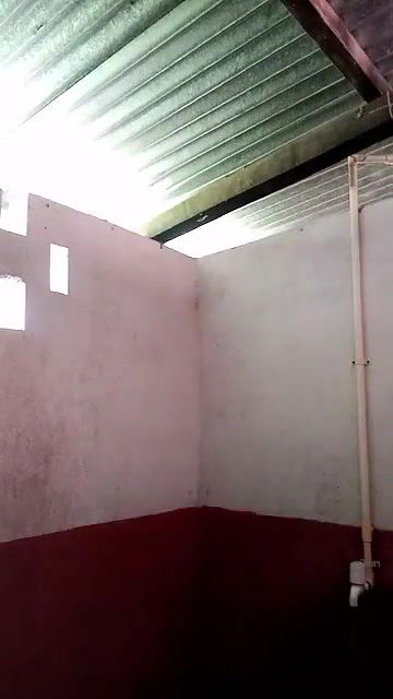 Young girl in bathroom