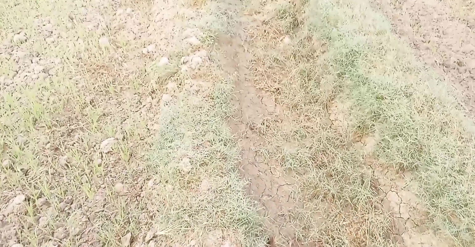 Kam wali cheat sex with me hard sex anal and pussy sex