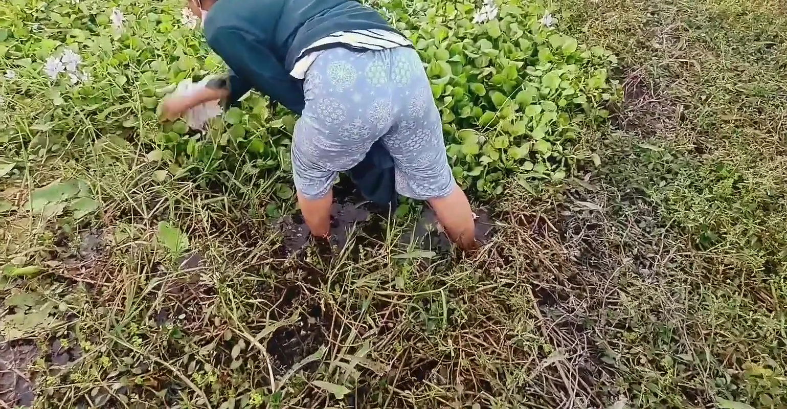 Devar Bhabhi Romantic Sex with Clear Audio