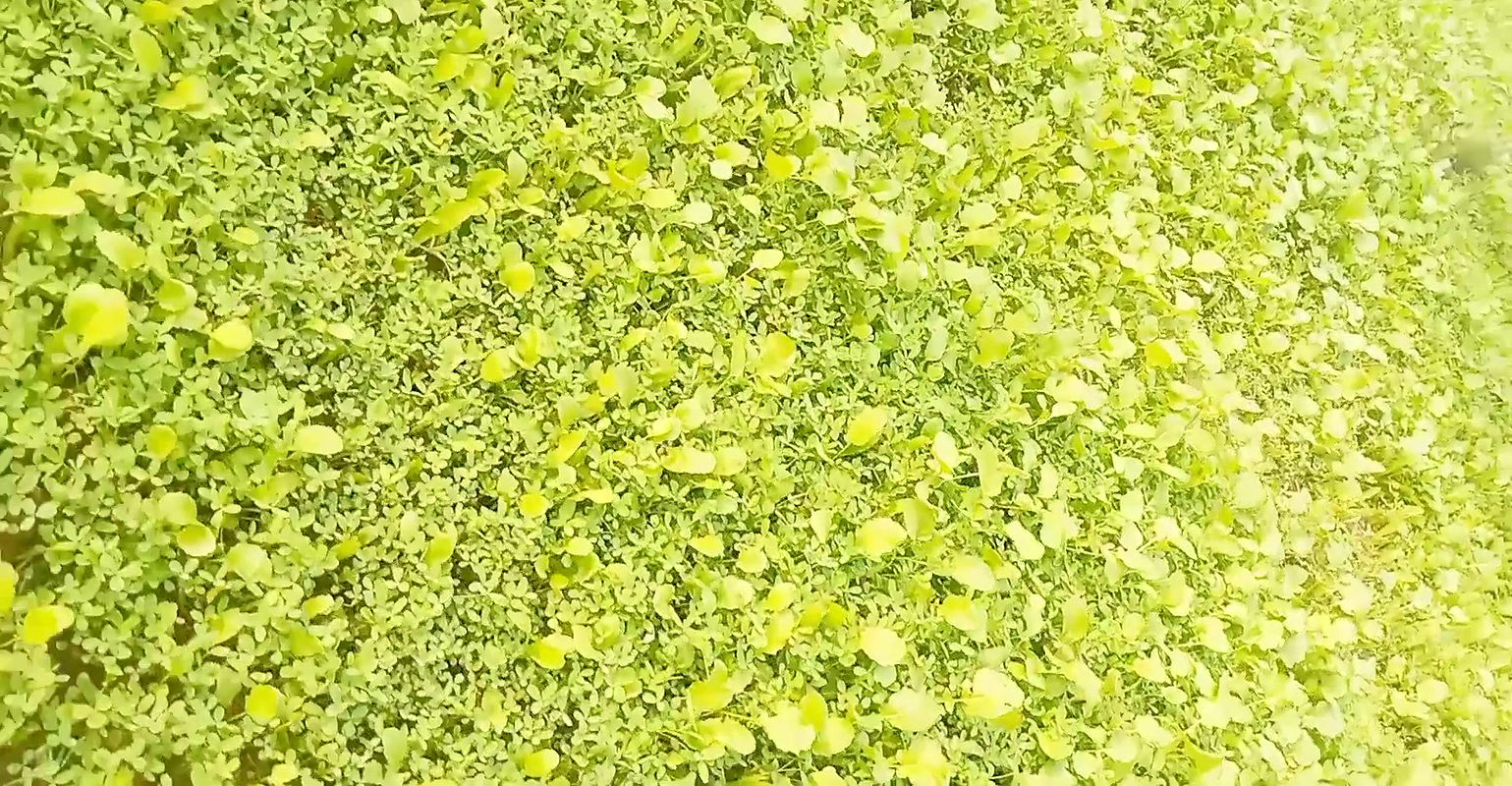 Khander randi girl hard sex with pussy and anal sex