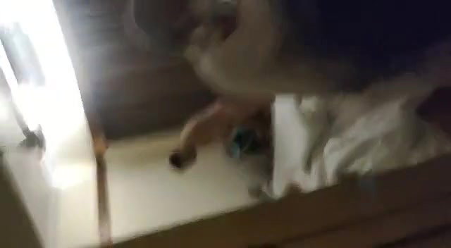 CRPF DC Caught In Hotal Room