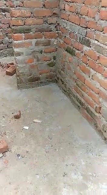 Desi Bhabhi Caught outdoor fucking