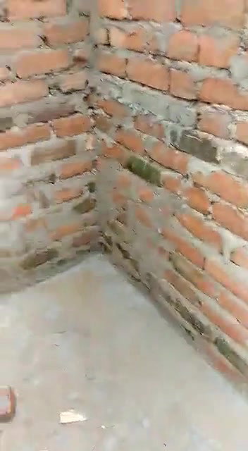 Desi Bhabhi Caught outdoor fucking