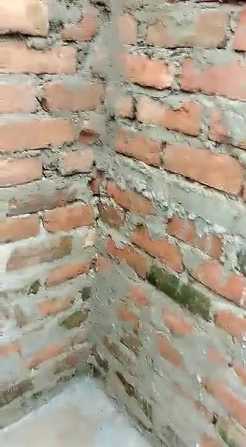 Desi Bhabhi Caught outdoor fucking