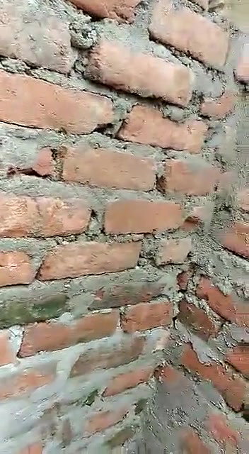 Desi Bhabhi Caught outdoor fucking