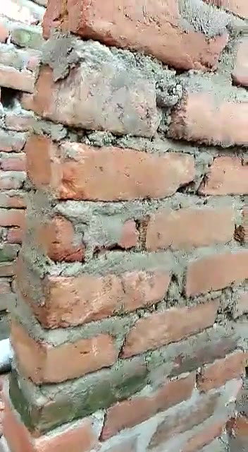 Desi Bhabhi Caught outdoor fucking