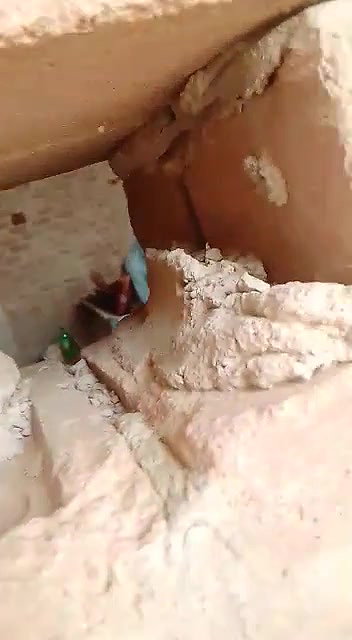 Devar Bhabhi Caught By Village People while Fucking