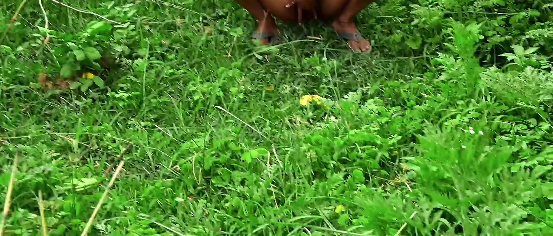 Bengail Ritu Boudi Jungle toilet sex