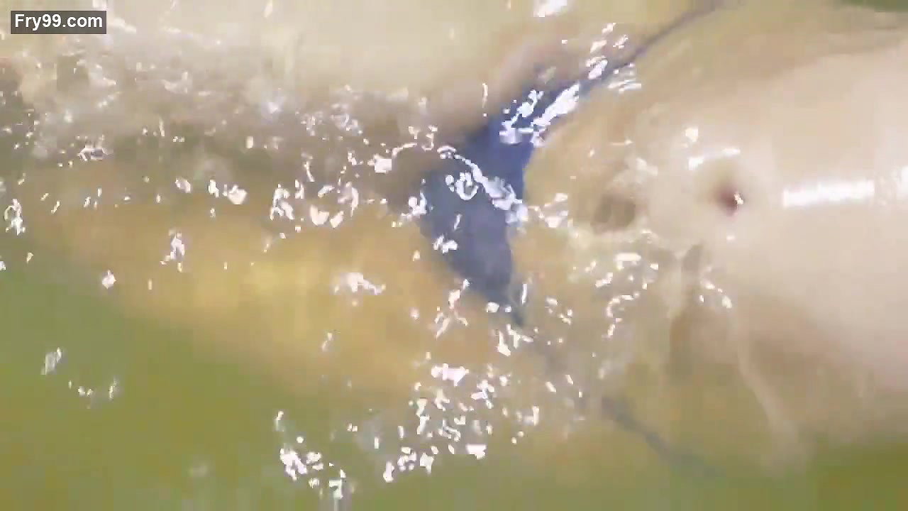 Horny booby mili wet huge cleavage and navel show photoshoot