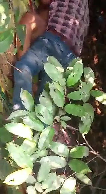 Desi Bhabi Fuck Outdoor