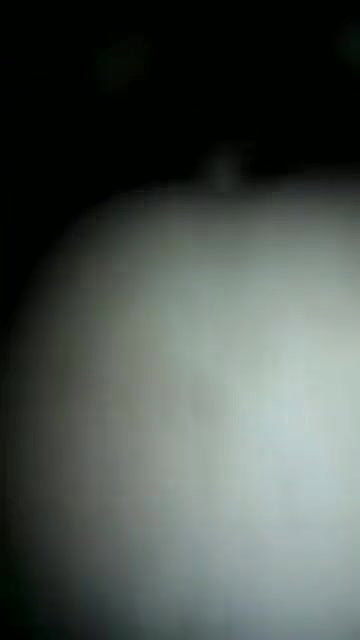 Desi College Girl Showing Boobs and Pussy