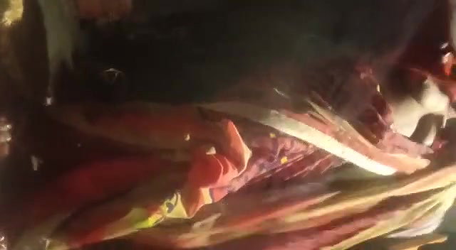 VID-20241-WA01245746