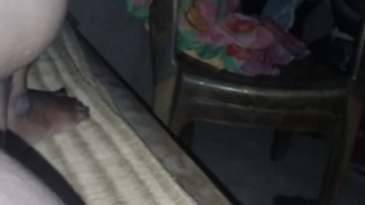 VID-20241-WA0124574204