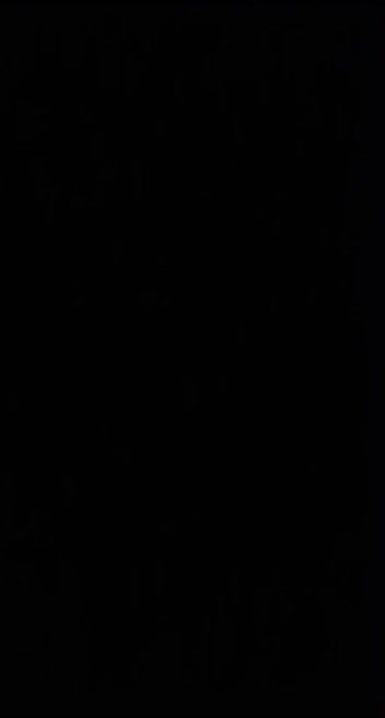 VID-20241-WA0124574650