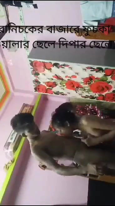 VID-20241-WA0124574651