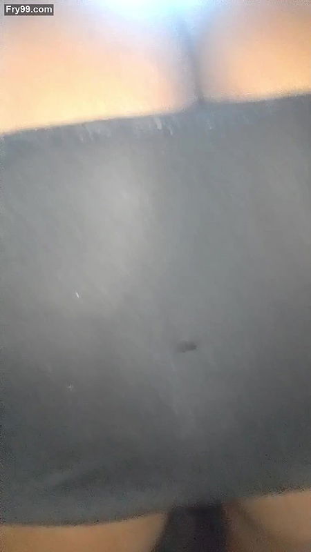 Indian bhabhi sexy pussy show up