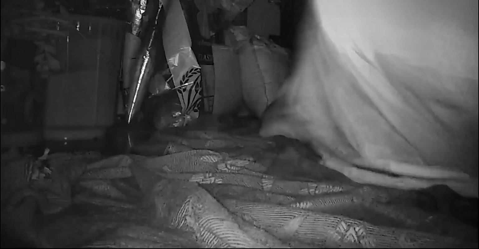 Indian wife big busy showing an