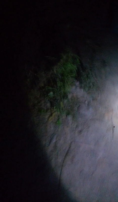 Deshi beautiful college girl shows his big bob and pussy