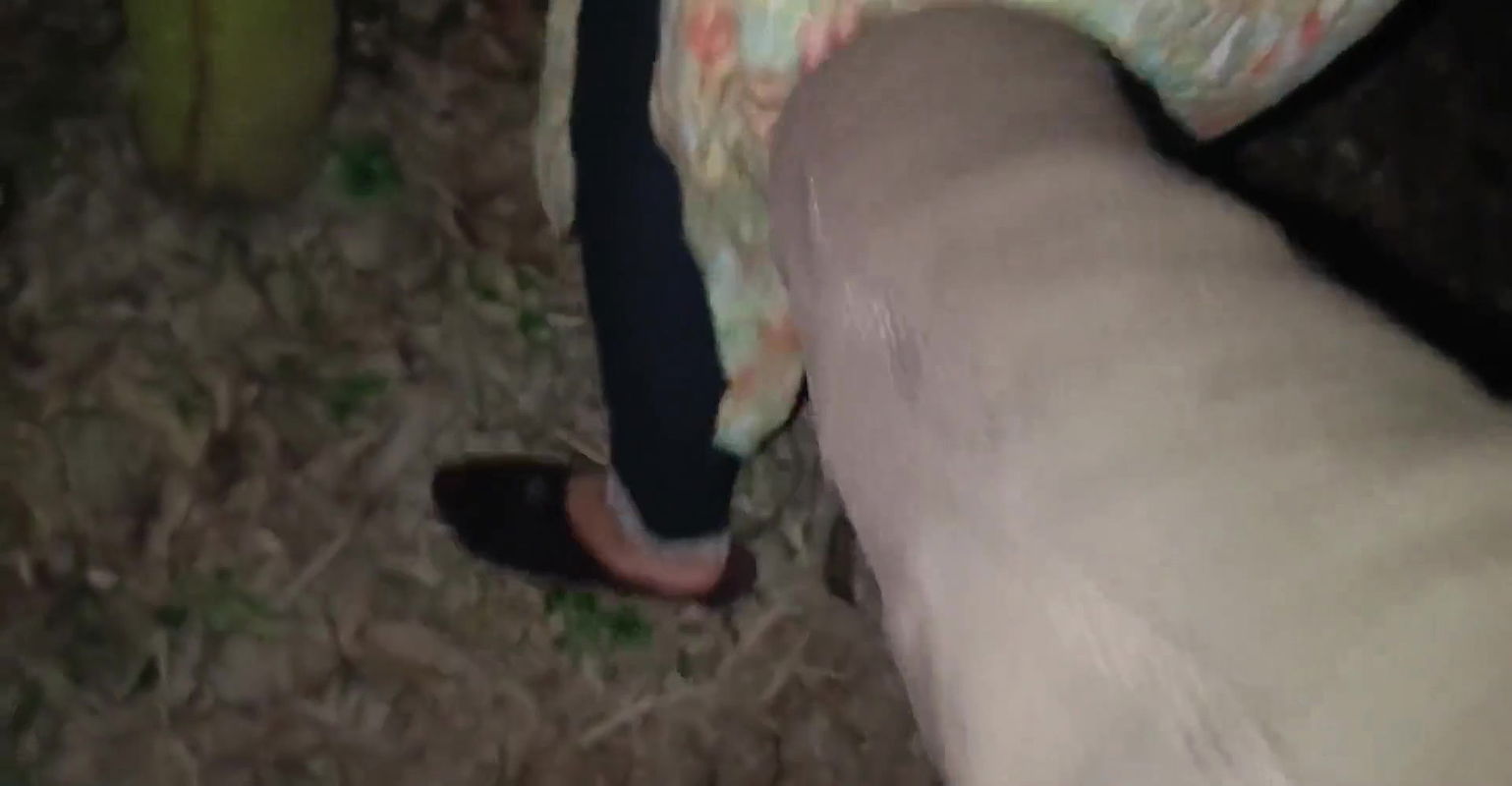 Outdoor jungle sex in her neighbour brother with audio