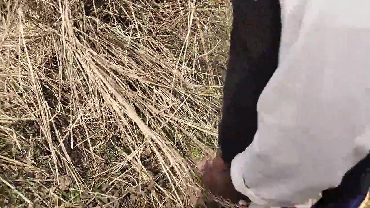 Pumi Bhabi Ko Ghar Jake Choda