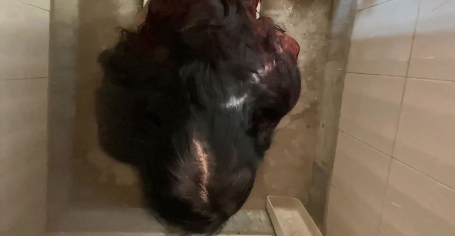 Indian Girl Peeing in Desi Toilet