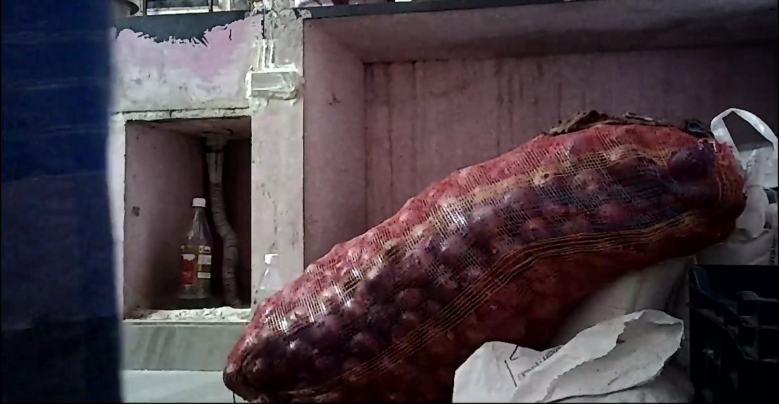 Indian house wife kissing ass b