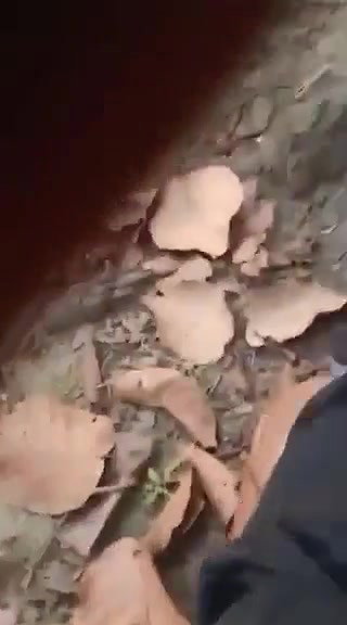 Beautiful Sexy Shy Indian Girl Hard Fucking With Moaning