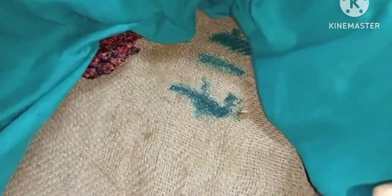 Thank you can you can be a real life very good