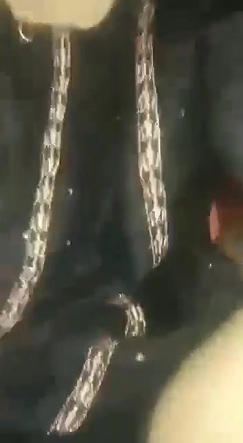 Paki girl riding