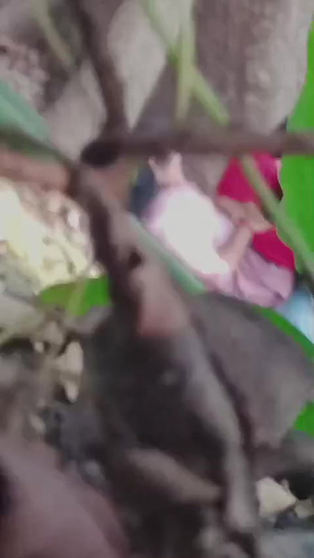 Couples fucking outdoor, secretly recorded