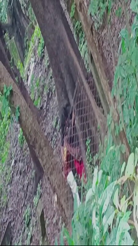 Couples fucking outdoor, secretly recorded