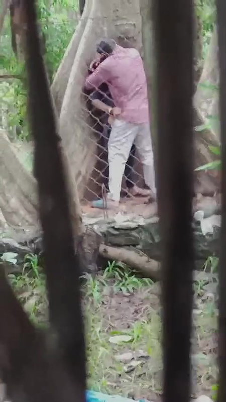 Couples fucking outdoor, secretly recorded