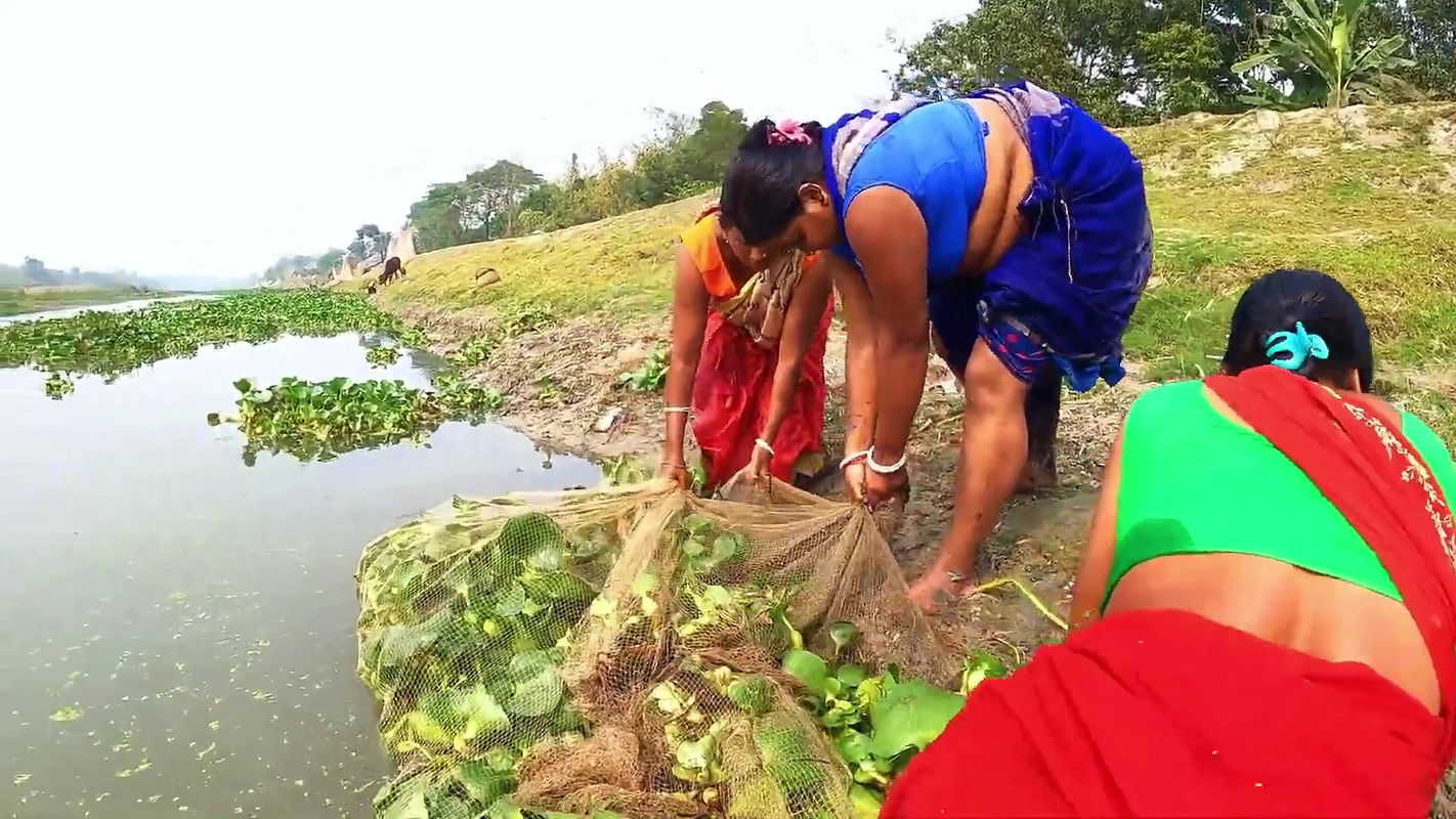Hot fgr village bhabi fishing – 2