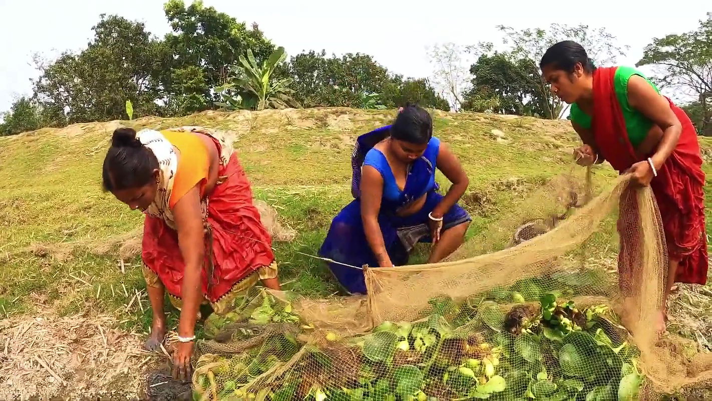 Hot fgr village bhabi fishing – 2