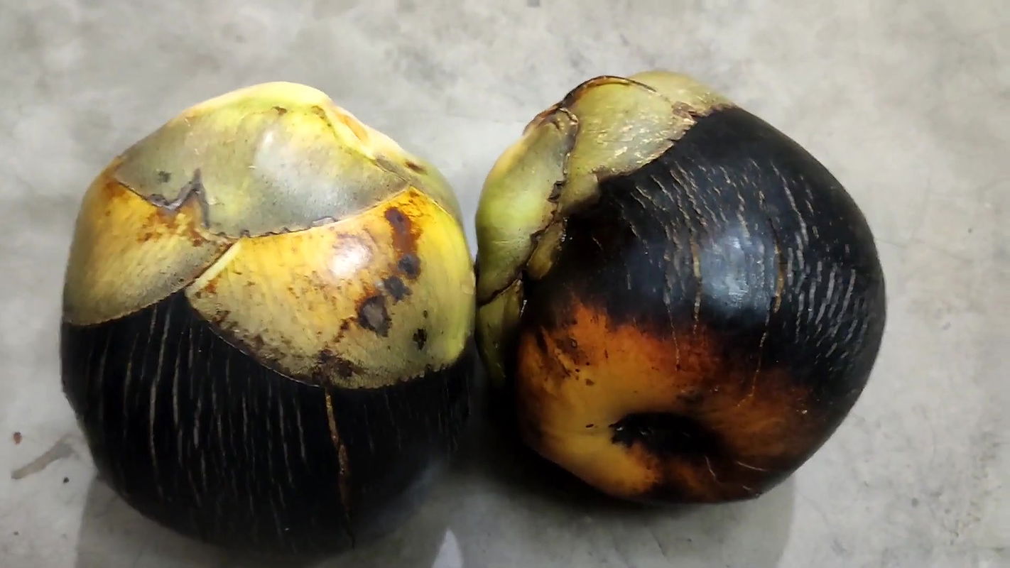 Youtuber ” sumi ” membership video colletion -27