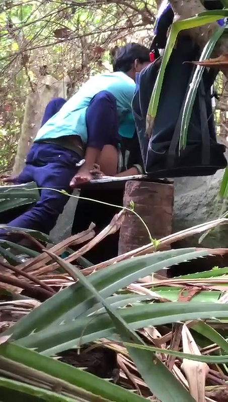 Same place different couple fucking video -19