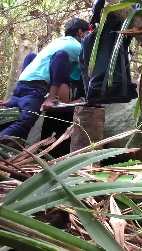 Same place different couple fucking video -19