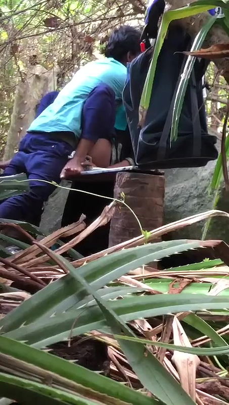 Same place different couple fucking video -19