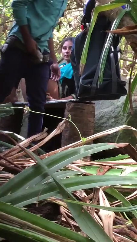 Same place different couple fucking video -19