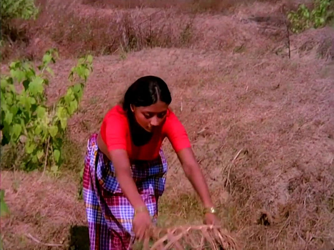 Big boobie Anjali Naidu Navel Lungi Song