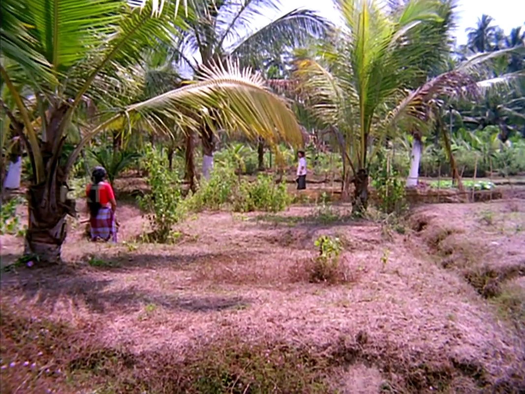 Big boobie Anjali Naidu Navel Lungi Song