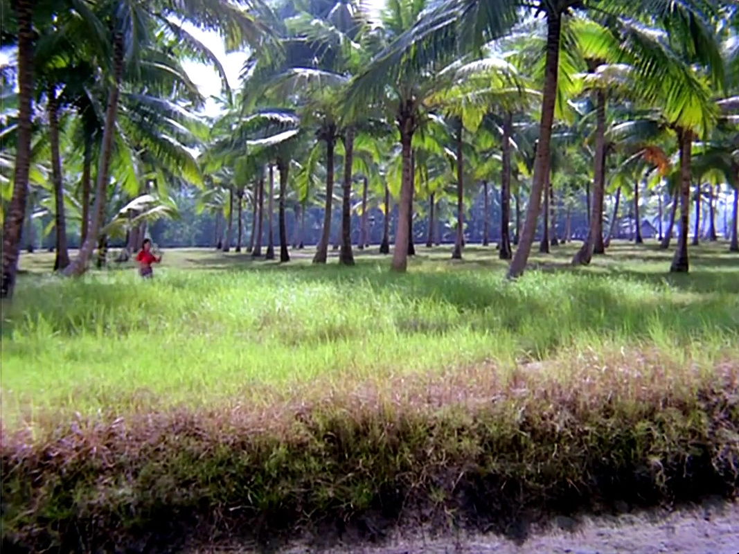 Big boobie Anjali Naidu Navel Lungi Song