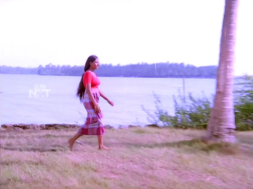 Big boobie Anjali Naidu Navel Lungi Song