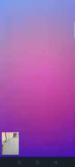 Assamese bhabhi video calling hubby pussy show up