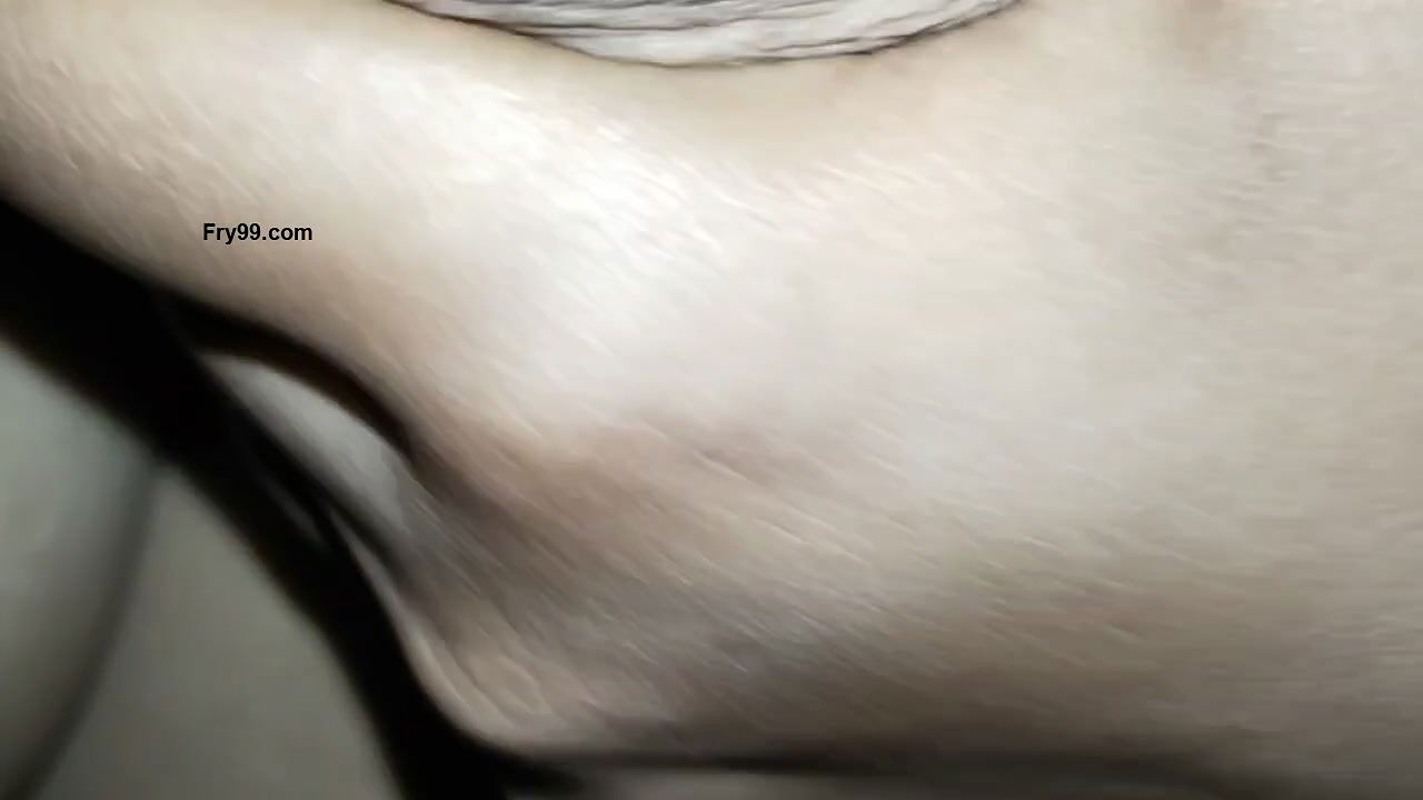 Youtuber Samar maiti sexy boobs