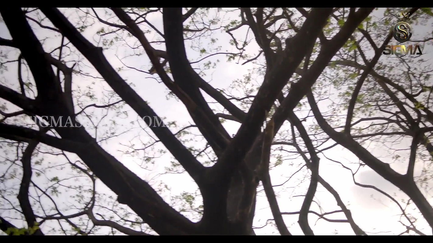 Mountains are Calling Epi 3