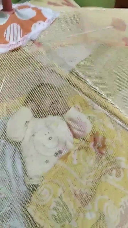 Tapati Basak shorts collection