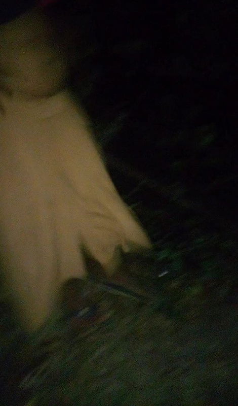 Deshi beautiful college girl shows his pussy